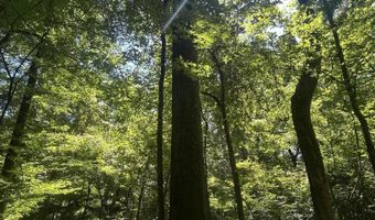 001 Farr Rd, Bolton, MS 39041