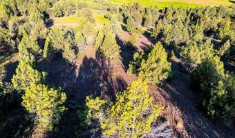 737 Raccoon Ln, Alturas, CA 96101