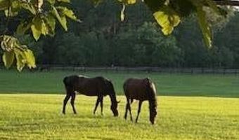 450 Addor Rd, Aberdeen, NC 28315