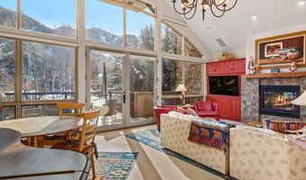 990 E Hopkins Ave, Aspen, CO 81611