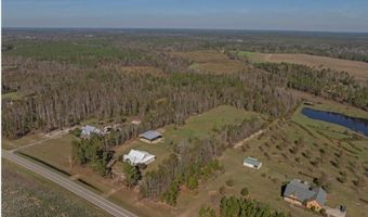 762 Old McLeod Brg, Adrian, GA 31002