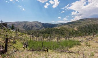 693 Cougar Dr, Bellvue, CO 80512