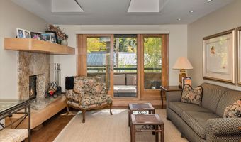 1020 E Hopkins Ave 9, Aspen, CO 81611