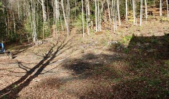 1066 Country Club Rd, Brandon, VT 05733