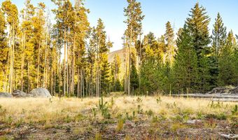 Harris Road lot 10 Tbd, Anaconda, MT 59711
