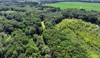 25270 B Dr S, Albion, MI 49224