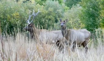 24950 Hwy. 93, Challis, ID 83226