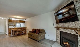 1001 Grandview Dr 11, Breckenridge, CO 80424