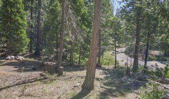 403 Sierra Pkwy, Camp Connell, CA 95223