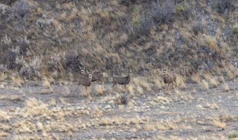 TBD Iron Mountain Rd, Chugwater, WY 82210