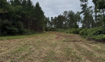 154 County Road 38 Acres, Banks, AL 36005