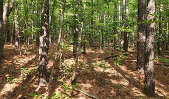 0- Lot 2-2 Red House Rd, Appomattox, VA 24522