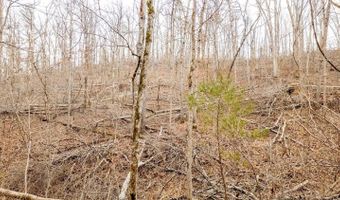 County Road 19-A, Alton, MO 65606
