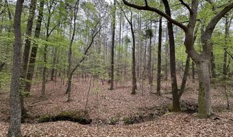Ridge Road lot E, Appling, GA 30802