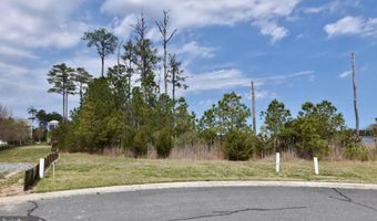 Lot # 271 WAR DANCER LANE, Berlin, MD 21811