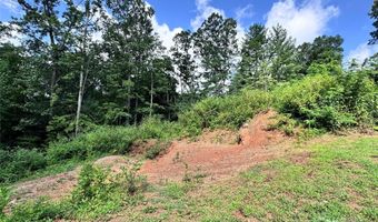 7 Winter Hawk Dr 3, Arden, NC 28704