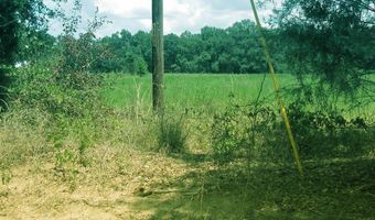 Eudon Best Rd, Ashford, AL 36312