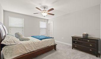 3212 CALVANO Dr, Land O Lakes, FL 34639