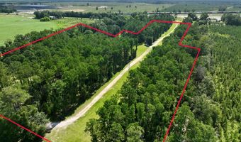 1477 Lake Dr, Bainbridge, GA 39817