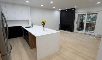 910 W Hallam St 12, Aspen, CO 81611