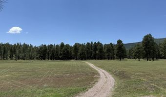 58 County Road N2122, Alpine, AZ 85920