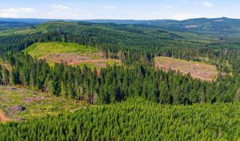 Tunnel Tract Parcel2, Banks, OR 97106