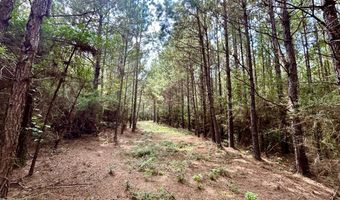 3951 MS-42, Bassfield, MS 39421