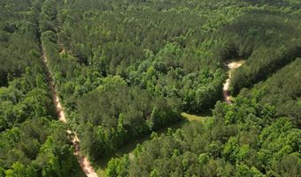 Co Rd 2337, Bay Springs, MS 39422