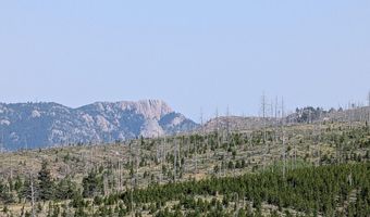 Old Camp Rd, Bellvue, CO 80512