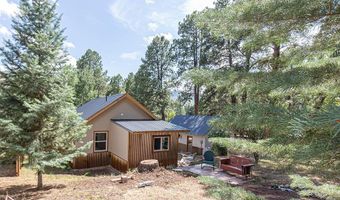 221 Vallecito Dr, Bayfield, CO 81122