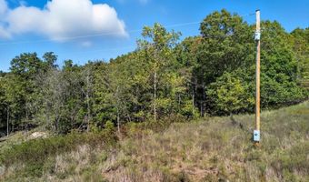 3850 Private Drive 3220, Ava, MO 65608