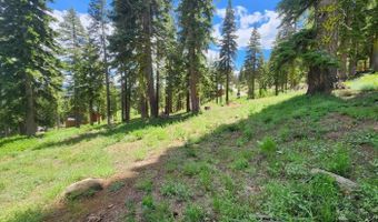 350 Snowshoe Rd, Bear Valley, CA 95223