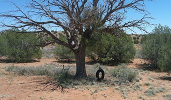 30 N9220, Concho, AZ 85924