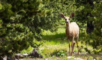 13 Little Plume, Big Sky, MT 59716