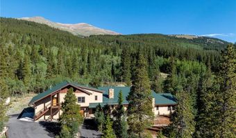 1227 Edgewood Rd, Alma, CO 80420