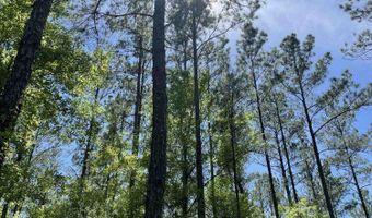 0 Orem Rd, Bay Minette, AL 36507