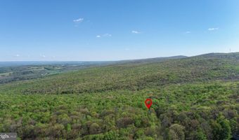 2461 OLD MORGANTOWN Rd E, Accident, MD 21520