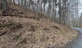 FAIRWAY DR, Basye, VA 22810