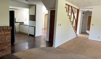 3100 Challis Creek Rd, Challis, ID 83226