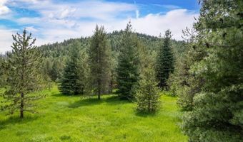 1029 Sun Valley Dr, Careywood, ID 83809