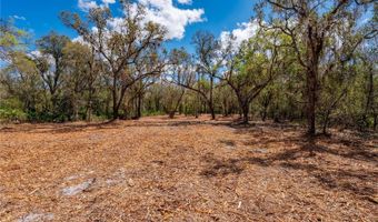 SE HWY 31 30, Arcadia, FL 34266