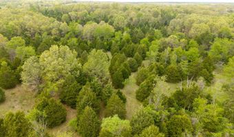 493 County Road 151, Alton, MO 65606