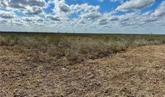 332 CR 171, Alice, TX 78332