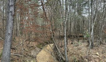 St. Johns Road, Braxton, MS 39044