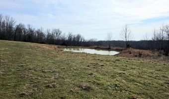 Rr 1 Box 6548, Ava, MO 65608