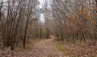 Maddox Road, Ackerman, MS 39735
