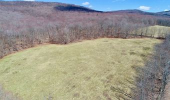 Lot 2 Doig Hollow Road, Andes, NY 13731