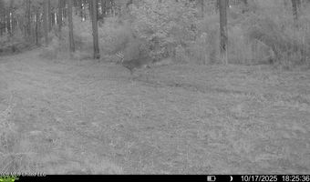 425 Rose Hill Rd, Bentonia, MS 39040