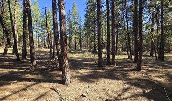 12174 Night Owl Dr, Bonanza, OR 97623