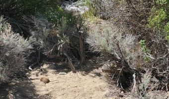 810 Chiatovich Creek Road Lot 8A1, Dyer, NV 89010
